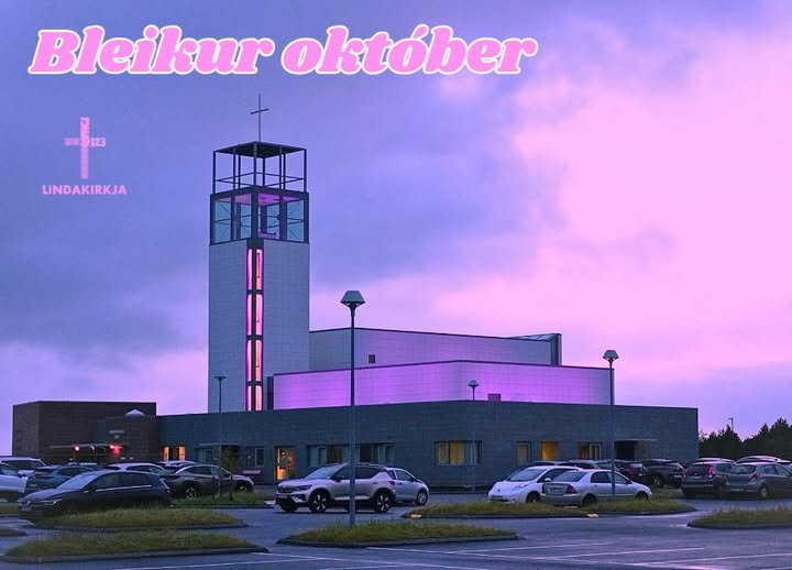 558425706_17986172492905330_3659609170066558678_n Bleikur október